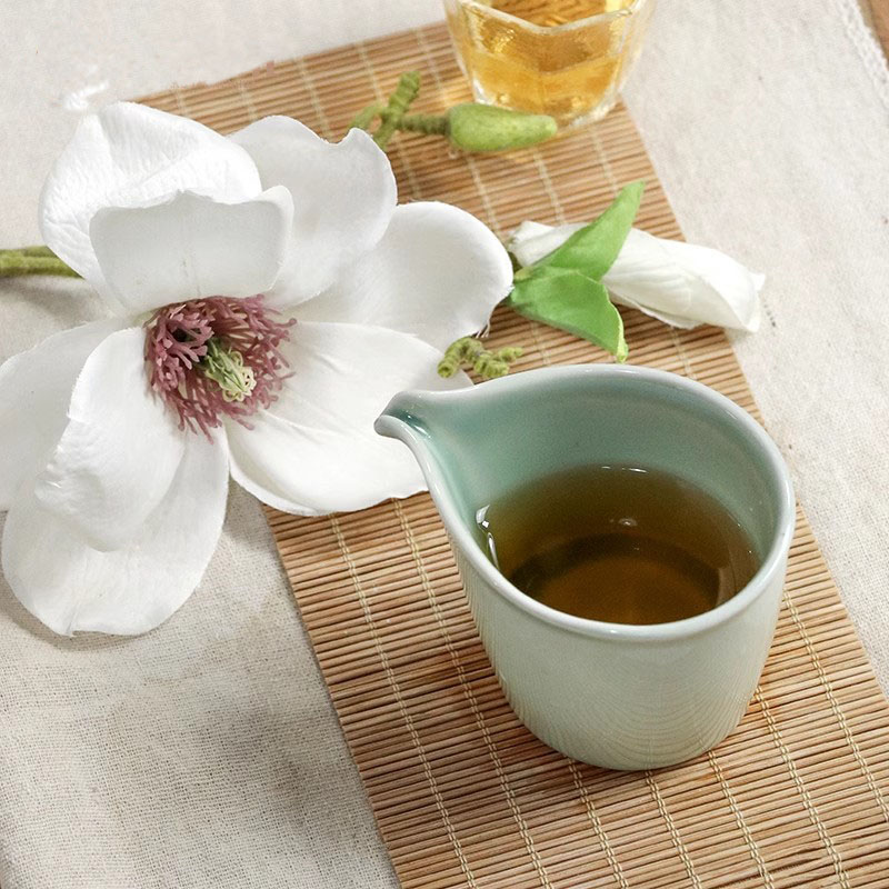 170ml Gips Gips Schimmel Malle - Handmade Ceramic Mug recensie en prijs